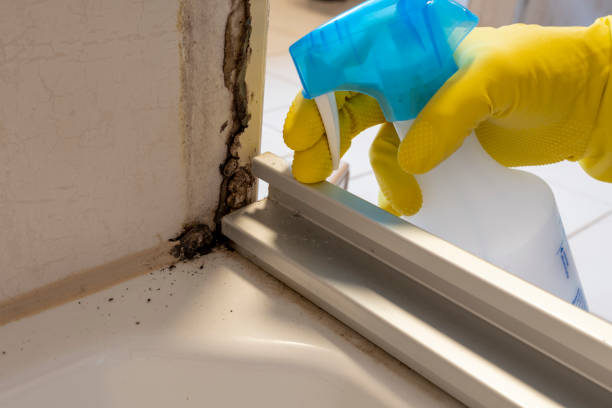 Best Professional Mold Removal  in Heartland, TX