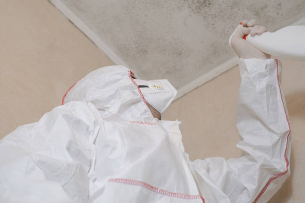 Best Emergency Mold Removal  in Heartland, TX