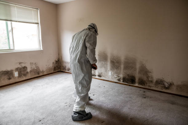 Heartland, TX Mold Removal Company